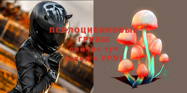 молекула духа Краснотурьинск