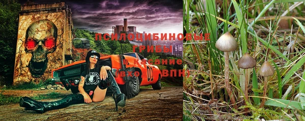 молекула духа Краснотурьинск