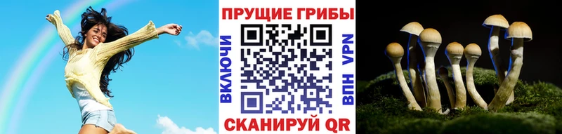 Псилоцибиновые грибы Magic Shrooms  где купить наркоту  Чухлома 